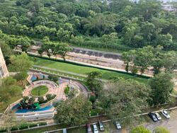 Pine Grove (D21), Condominium #232463831